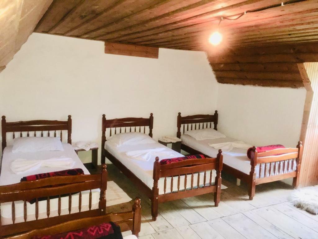 Guesthouse Dritan Tethorja Theth Eksteriør bilde